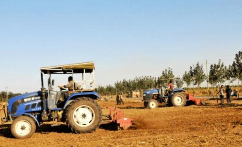 沙河农民爆料最新,揭秘农村发展新动向